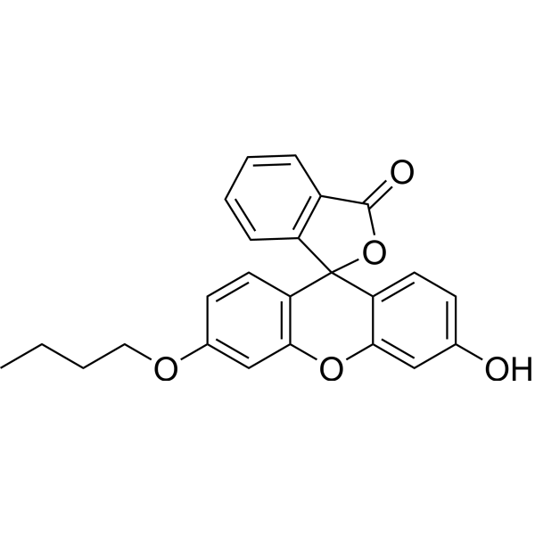 N-Butylfluorescein 335193-91-4